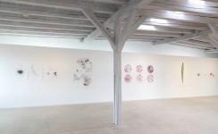[Bild von Susanne Hauser]
